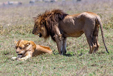 12days-machame-route-and-safari