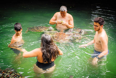 kilimanjaro-mount-meru-safari-and-zanzibar